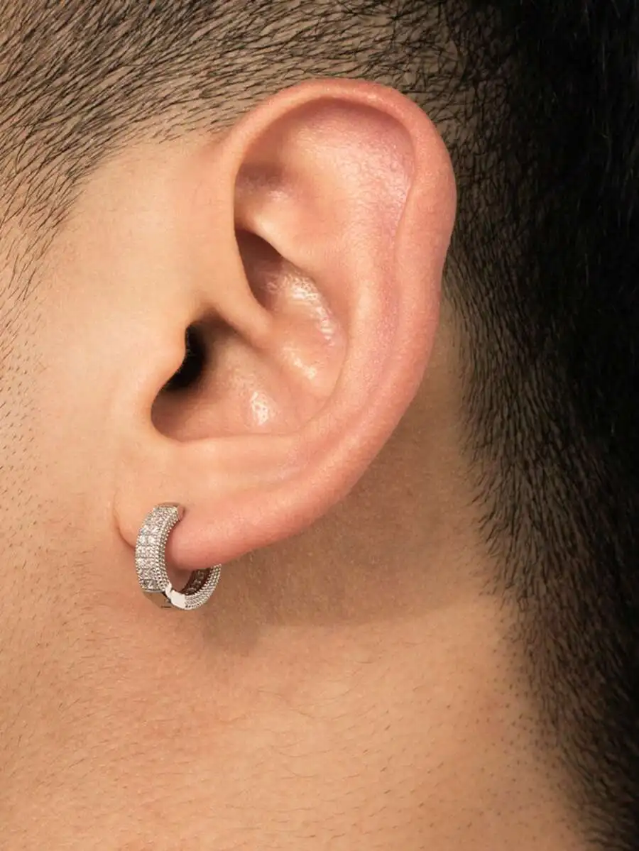 Cubic Zirconia Studded Hoop Ea - Hoop Earrings avaliação e preço